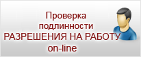 Проверка готовности заграничного паспорта